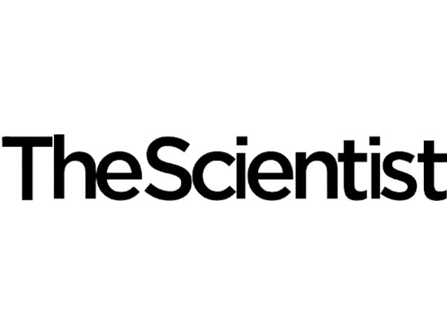 The Scientist